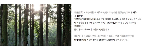 Kem Chống Nắng Dành Cho Nam Innisfree Forest For Men No Sebum Sunblock SPF50+ PA+++
